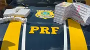 PRF apreende 256 ampolas de 'canetinhas emagrecedoras' em ônibus no PI