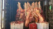 PRF apreende 5,7 toneladas de carne irregular em Balsas, MA