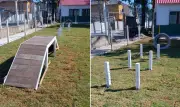 Primeiro espaço pet da Zona Noroeste de Santos terá piscina para cães