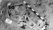 Primeiro surto de peste há 5.500 anos na Sibéria, revela estudo
