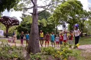Proibição de subir em árvores em parques de SP reacende debate sobre infância e natureza