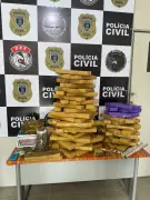 Quase 100 kg de maconha são apreendidos em Campina Grande; dois presos