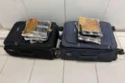 Quase 12 kg de drogas apreendidos e cinco bolivianas detidas na Raposo Tavares