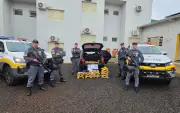 Quase 160 kg de drogas apreendidos em duas ações no interior de SP