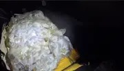 Quatro presos com 2 mil cápsulas de cocaína em Paulo de Frontin