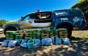 Quatro presos com mais de 200 kg de maconha em carro em Lins