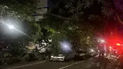Queda de árvore atinge dois carros e interdita avenida no Centro de Manaus