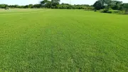 Região de Itapetininga produz 18% da grama do Brasil, aponta associação