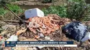 Restos de salmão descartados em avenida causam mau cheiro em Campo Grande