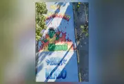Rua em Vicente de Carvalho vence concurso de decoração da Copa no Rio