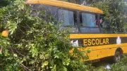 Árvore cai sobre ônibus escolar em Quatipuru, no Pará, durante temporal