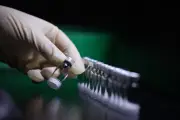 Saúde orienta monitoramento de 21 dias para vacina do Butantan contra dengue