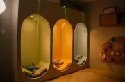 Sala Sensorial da NeuroConect estimula sentidos e regulação emocional
