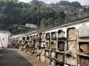 Santos define regras para sepultamento de animais em cemitérios públicos