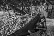 Semana cultural no Rio: exposições, teatro e música