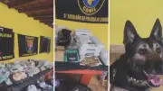 Sete presos e 140 kg de drogas apreendidos em operação da PM em Nazaré Paulista