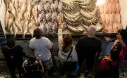 Setor de pescados retoma acesso a crédito do Brasil Soberano após tarifas dos EUA