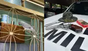 Sitiante preso por arma irregular e multado por ave exótica