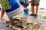 São Vicente recebe ação do Dia Mundial dos Oceanos com limpeza e atividades