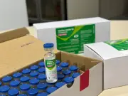 STF derruba decretos de 10 cidades de SC que dispensavam comprovante de vacinação para matrícula