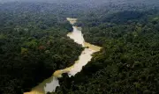 STF homologa plano de MT para acelerar regularização ambiental rural