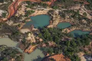 STF manda União retirar garimpeiros ilegais da Terra Indígena Cinta Larga