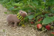 Strawberry Fields Forever: A Música Que Marcou Gerações