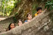 Sucesso de obras infantojuvenis brasileiras revela alta demanda por conteúdo nacional
