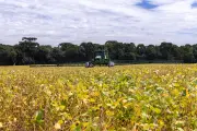 Super El Niño ameaça crédito rural e recuperação do agro