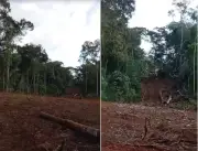 Suspeita de desmatamento em Mata Atlântica mobiliza moradores em Varre-Sai