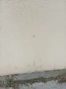 Suspeito atira contra entregador durante discussão em BH