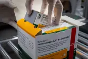 Suspensão da vacina da dengue: entenda os próximos passos