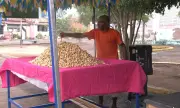 Tradição do amendoim em Feira de Santana sustenta famílias há gerações