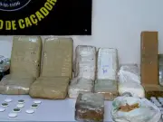Tráfico de drogas cresce 19,9% na Baixada Santista no 1º trimestre de 2026