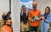 Três filhotes de cachorro resgatados em Nossa Senhora Aparecida