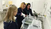 Tupã se destaca no envio de escorpiões para produção de soro