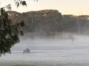 Turismo na Serra Gaúcha dispara com chegada do frio e atinge 75% de ocupação