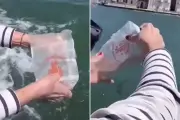 Turista francesa é investigada por espalhar cinzas em canal de Veneza