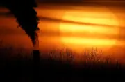 Turquia e EUA: Contrastes na Diplomacia Climática Mundial