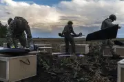 Ucrânia ataca logística russa com drones para impor bloqueio