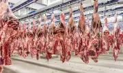UE retira Brasil da lista de exportadores de carne a partir de setembro