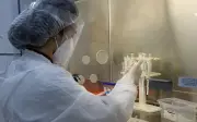 UFLA registra aumento de até 7 vezes em casos de vírus respiratórios