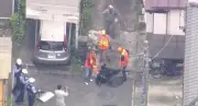 Urso que aterrorizava cidade japonesa é capturado após 3 dias de buscas
