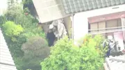 Urso que fechou 94 escolas no Japão é capturado após quatro dias de buscas