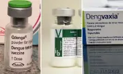 Vacinas contra dengue: quem pode tomar Qdenga, Butantan-DV e Dengvaxia?