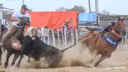 Vaqueiro campeão é morto a facadas no Ceará após recusar dividir prêmio