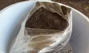 Vasilhame milenar de até 3 mil anos é encontrado em Parintins