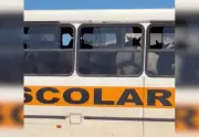 Vídeo mostra cavalos sendo transportados dentro de ônibus escolar em TO