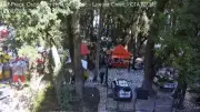 Vídeo mostra galho que fez jovem perder movimentos em Curitiba