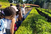 Viveiro em Presidente Venceslau oferece atividades gratuitas de educação ambiental para crianças